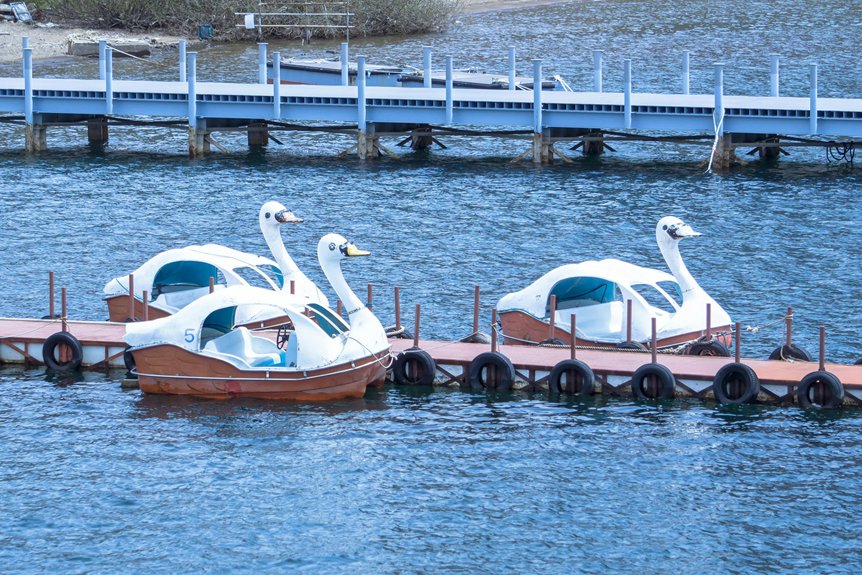 activities beyond shopping experience